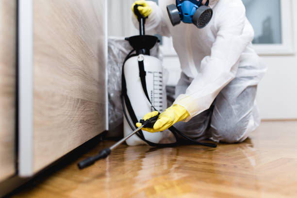 Best Cockroach Control Services  in Grosse Pointe Farms, MI