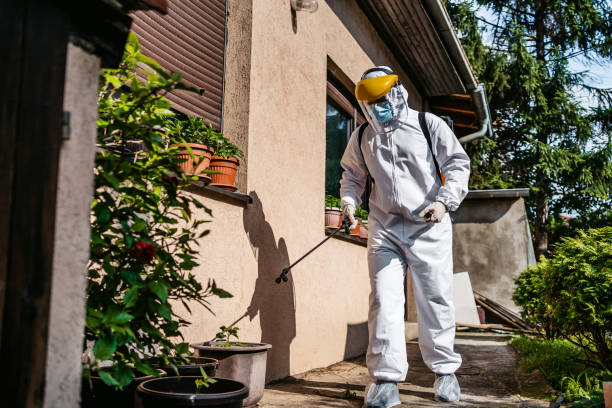 Spider Control Near Me in Grosse Pointe Farms, MI