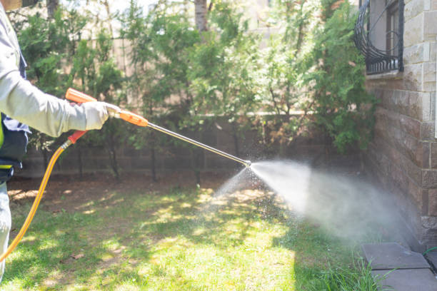 Best Flea Control Services  in Grosse Pointe Farms, MI