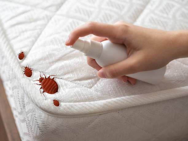 Best Commercial Pest Control Services  in Grosse Pointe Farms, MI