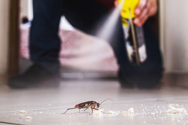 Best Wasp Removal Services  in Grosse Pointe Farms, MI
