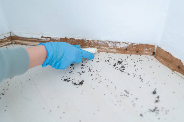 Best Pest Control Near Me  in Grosse Pointe Farms, MI